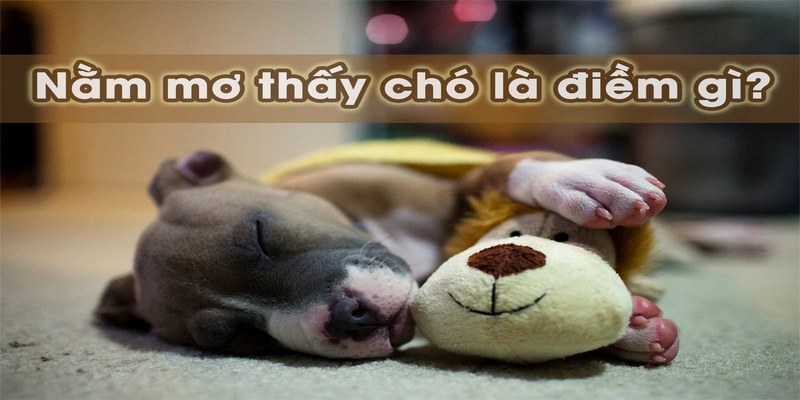 Nằm Mơ Thấy Chó: Giải Mã Điềm Báo Tâm Linh Chuẩn Xác