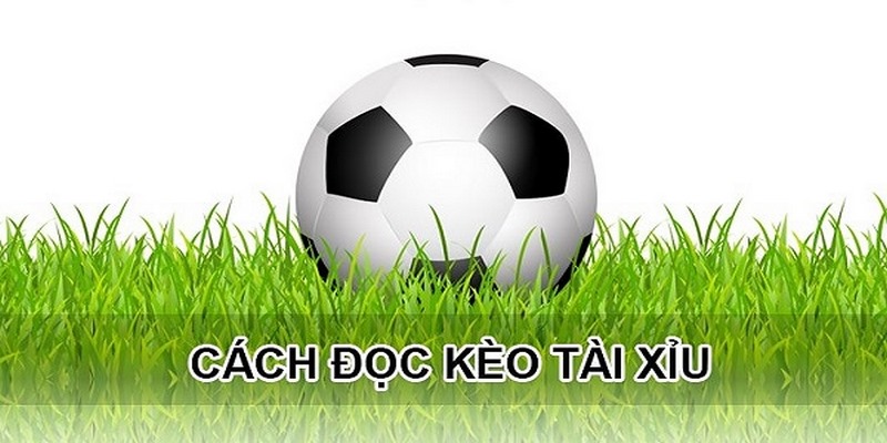 Hiểu về khái niệm tỷ lệ 4.5 trong tài xỉu bóng đá