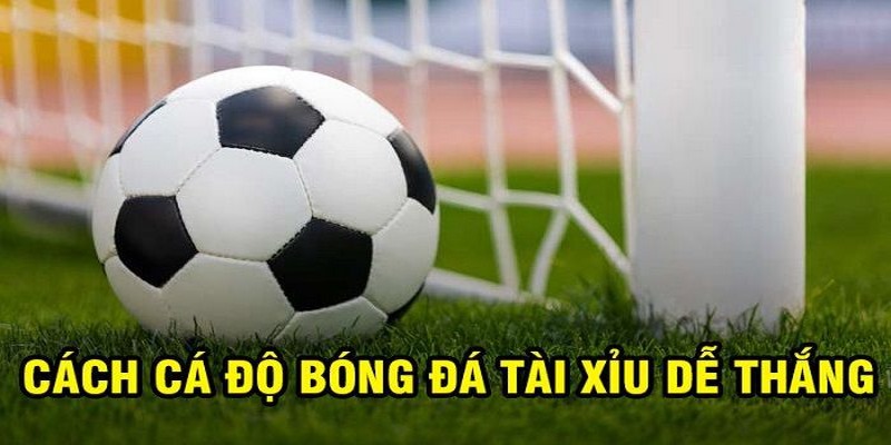 Hiểu về mức cược 3/4 để cá cược hiệu quả